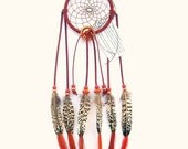 Rust Dream Catcher, Lady Amherst Pheasant Tails