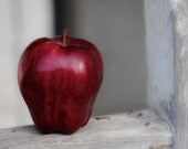 5x7 Blank Note Card Fine Art Photography Red Apple photo on White 5x7 Blank Note Card  Set of 3 Stationery, All Occassion Card, Home Decor