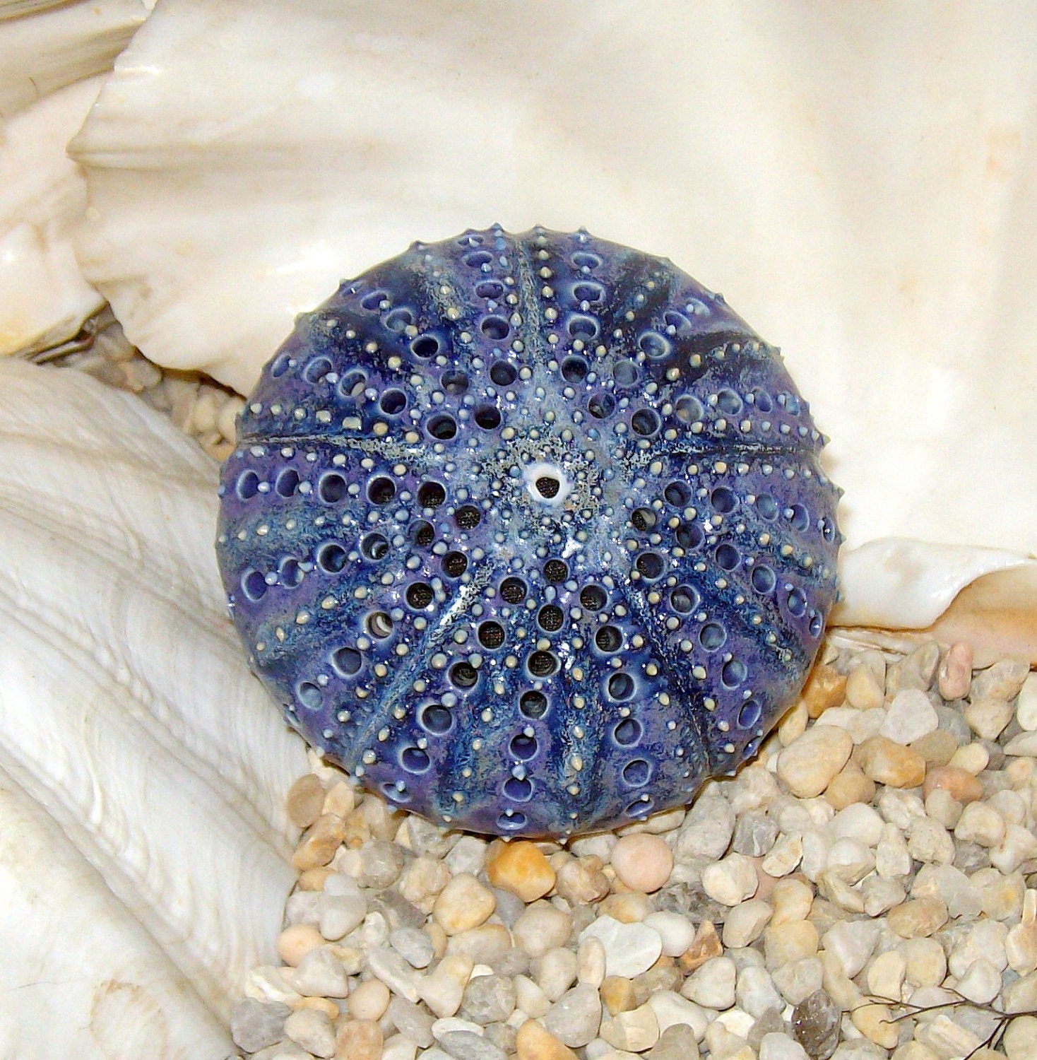blue ceramic sea urchin pin cushion - a handmade figural pincushion by Earth N Elements Pottery
