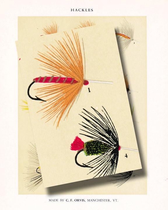 c f orvis fly fishing print...bright and colorful fish flies ...instant download...digital print no. 960