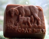 Snickerdoodle Goat's Milk Soap, Snickerdoodle Goat Soap, Goat Soap, Homemade Soap, Made in Montana Soap