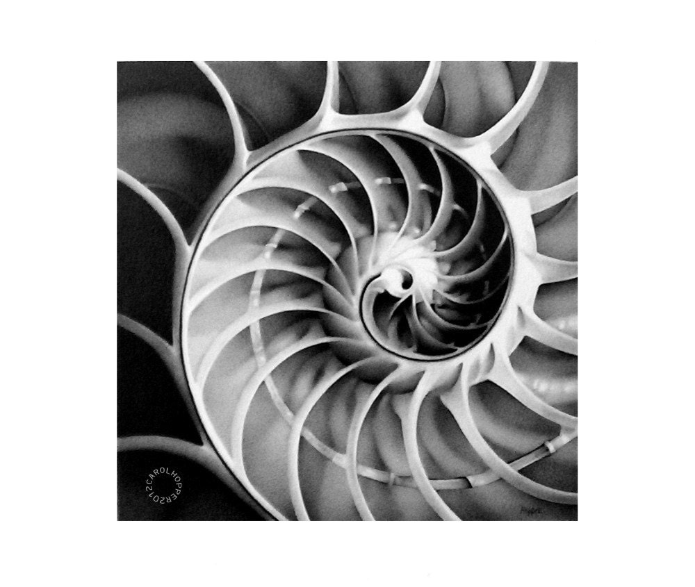 Spin - Pencil Drawing