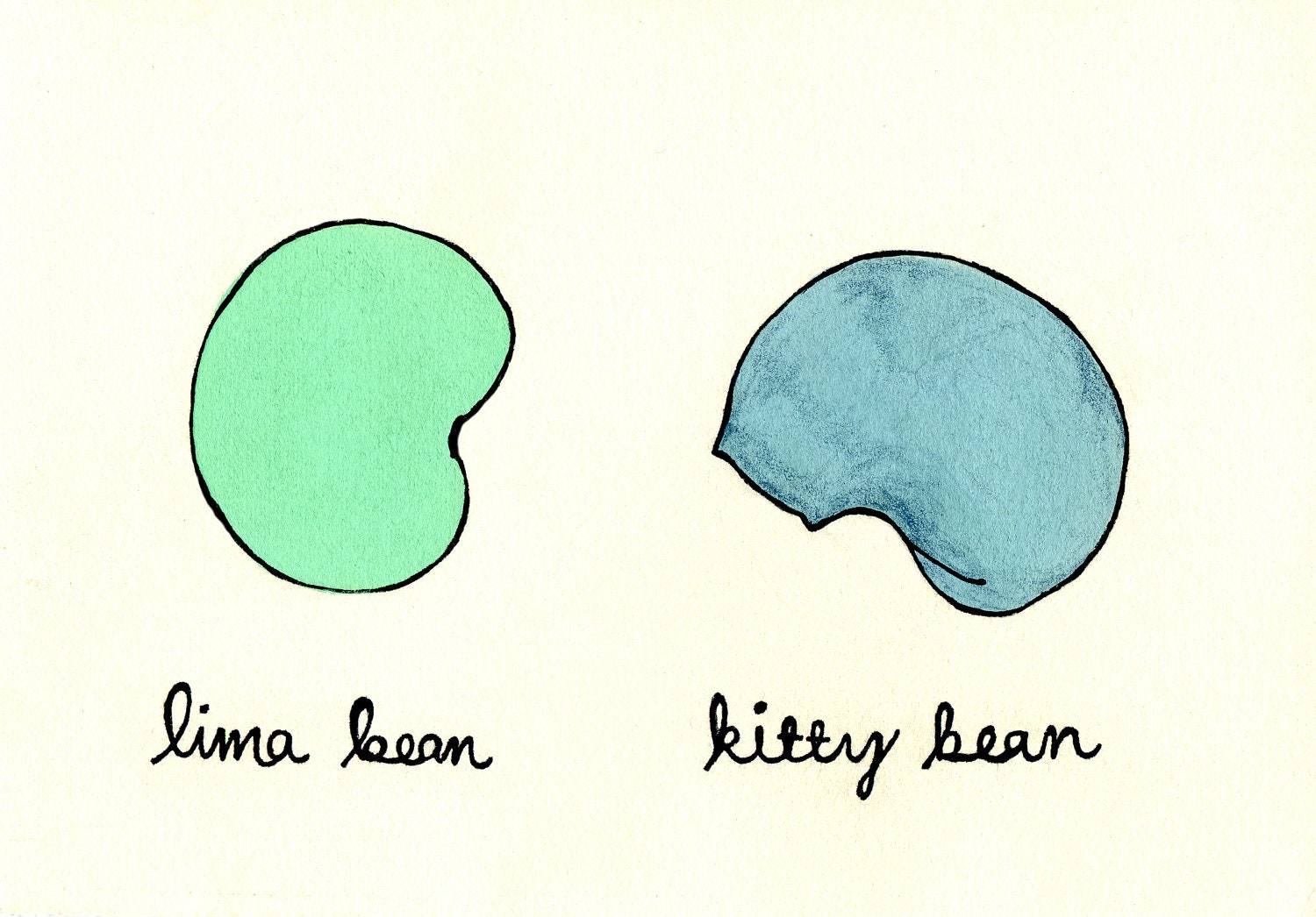 Kitty Bean PRINT - missmarjorie Kitty Bean PRINT - missmarjorie