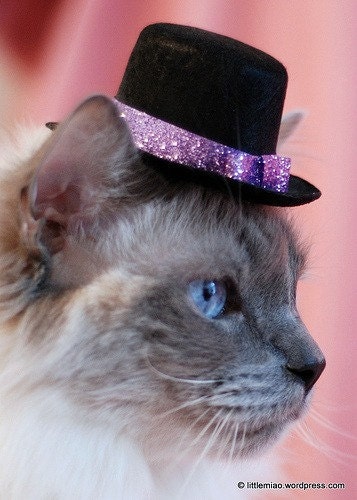Mini Hat -  Glitz and Glam