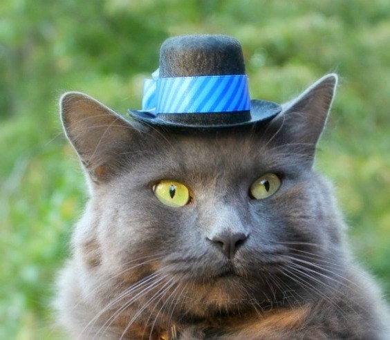 Top Hat for Cats and Dogs -  Olympian Blue