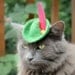 Cat (Dog) Robin Hood Hat - Peter Pan Hat - Free Hand Felted Wool Hat