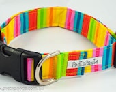 Dog Collar: Yellow, Pink, Aqua, Red Rainbow Dog Collar