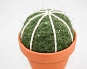 Felted Cactus (Pin Cushion)