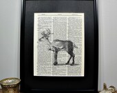 FRAMED Vintage Dictionary Print - Woodland Series - Whitetail Deer
