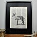 FRAMED Vintage Dictionary Print - Woodland Series - Whitetail Deer