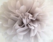 NEW / Dove Gray ... 1 tissue paper pom // weddings // silver anniversary // bar bitzvah // graduation // party decorations