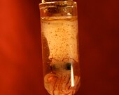 Kraken Test Tube Pendant