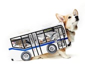Harry the Welsh Corgi Bus -  8 x 10 Archival Pigment Print