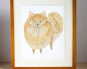 Pomeranian Illustration - FREE US SHIPPING