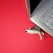 16 GB Wolf USB Flash Drive