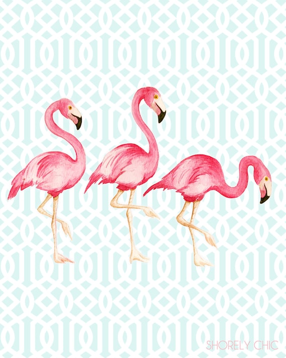Flamingo Trellis Art Print