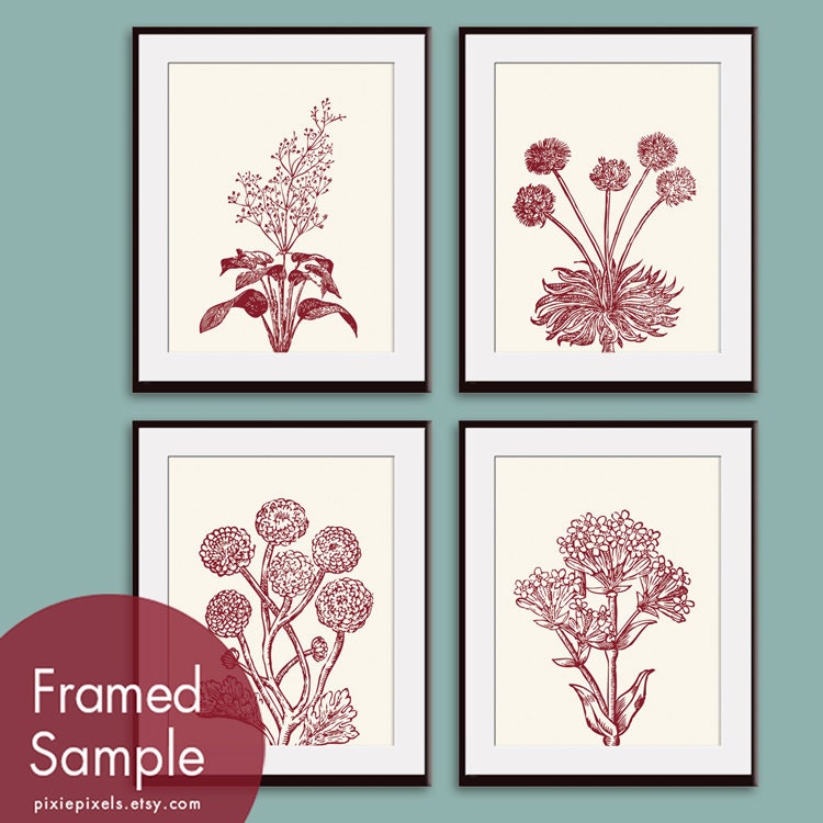 Wild Flowers Botanical Prints (Series C) Set of 4 - 8x10 Art Print (Featured in Cream and Brick Red) Customizable Colors