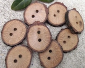 Wooden Buttons - 8 Ohio Oak Wood Tree Branch Buttons with Bark - 1 3/8 to 1 1/8 inches, For Knitting, Journals, Pillows, Purses