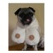 DOGGIE Boob Scarf as seen in The Regretsy Christmas Special Featuring JACK the PUG