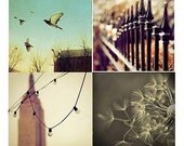 Photography gift set 4 12x12 photo size to fit Ikea Ribba, coordinated wall decor in sepia, gold, brown