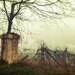 Eery Foggy Landscape Photograph morning fog barren land woodland rustic russet golden home decor 8x12