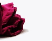Amaranth With Purple Skirt