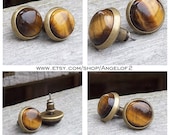 Tiger Eye Gemstone Good Fortune Post Earrings