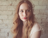 Caramel birdcage veil with tiny silk bow detail- style 611