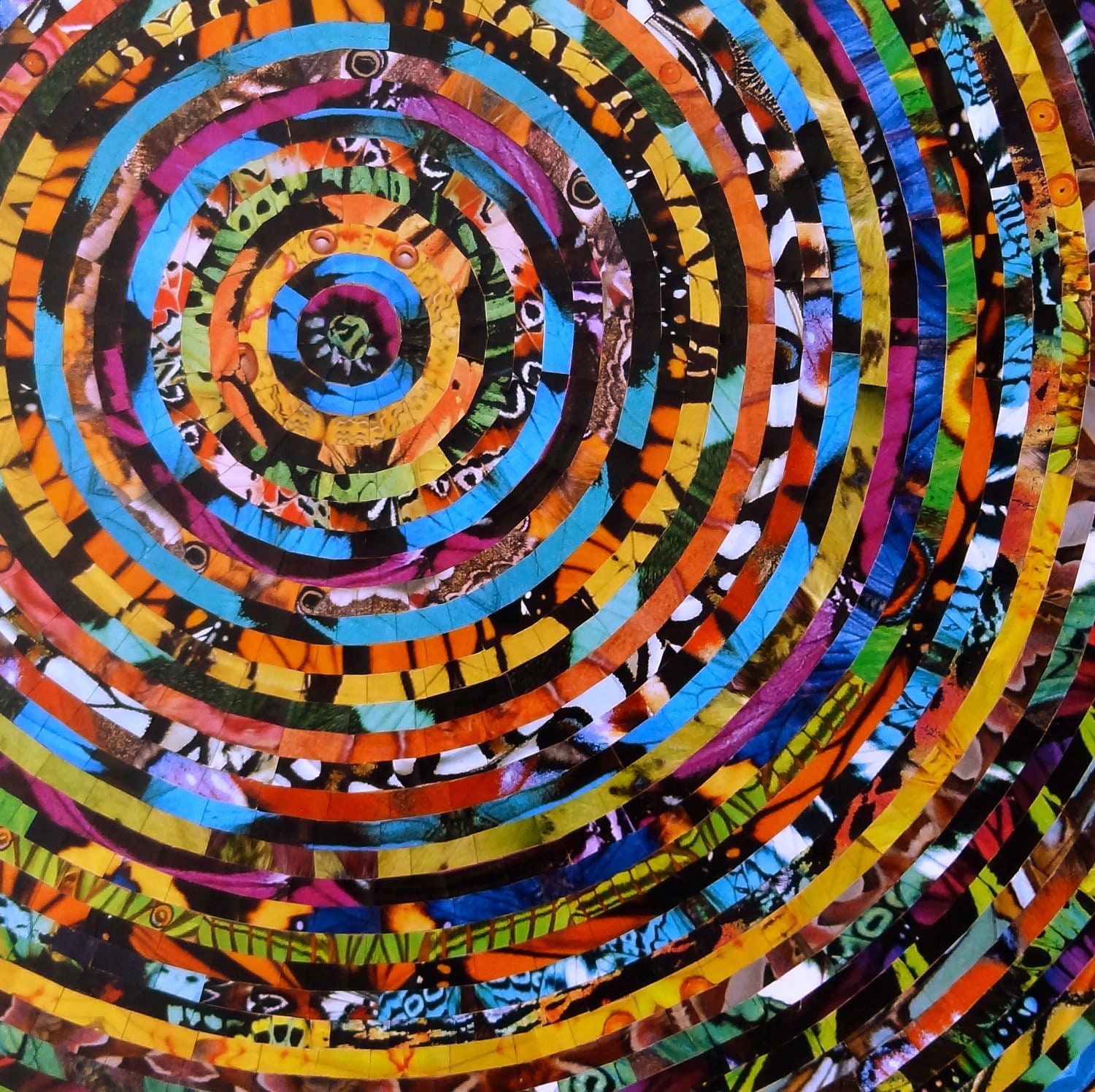 Flutter By - Colorful Butterfly Themed Collage on Bamboo Panel