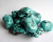 1 LARGE Drilled Turquoise Bead for Pendant