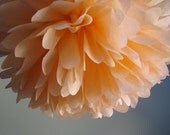 Set of 4 Extra Large Pom 20 inches