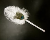 Peacock Feather Fan Bridesmaid package 6 piece