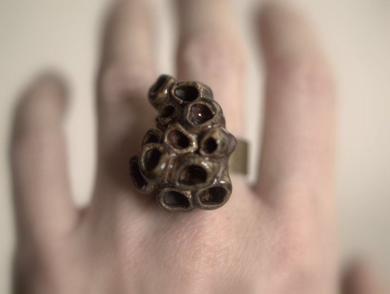 Lichen Ring - Deep brown and Autumn colors.  Funky and fashionable.