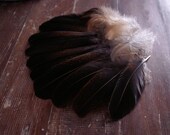 FREE SHIPPING - 15 ct. Cruelty Free Chicken Feathers