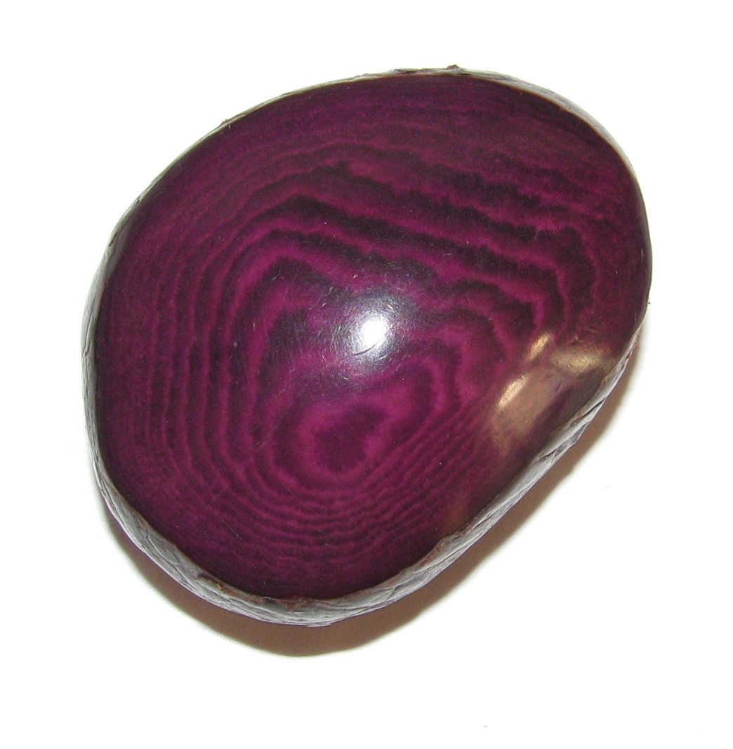 One Purple Tagua Nut Bead, Flattened Nut, TD, Natural Beads, Organic Beads, Vegetable Ivory Beads, EcoBeads