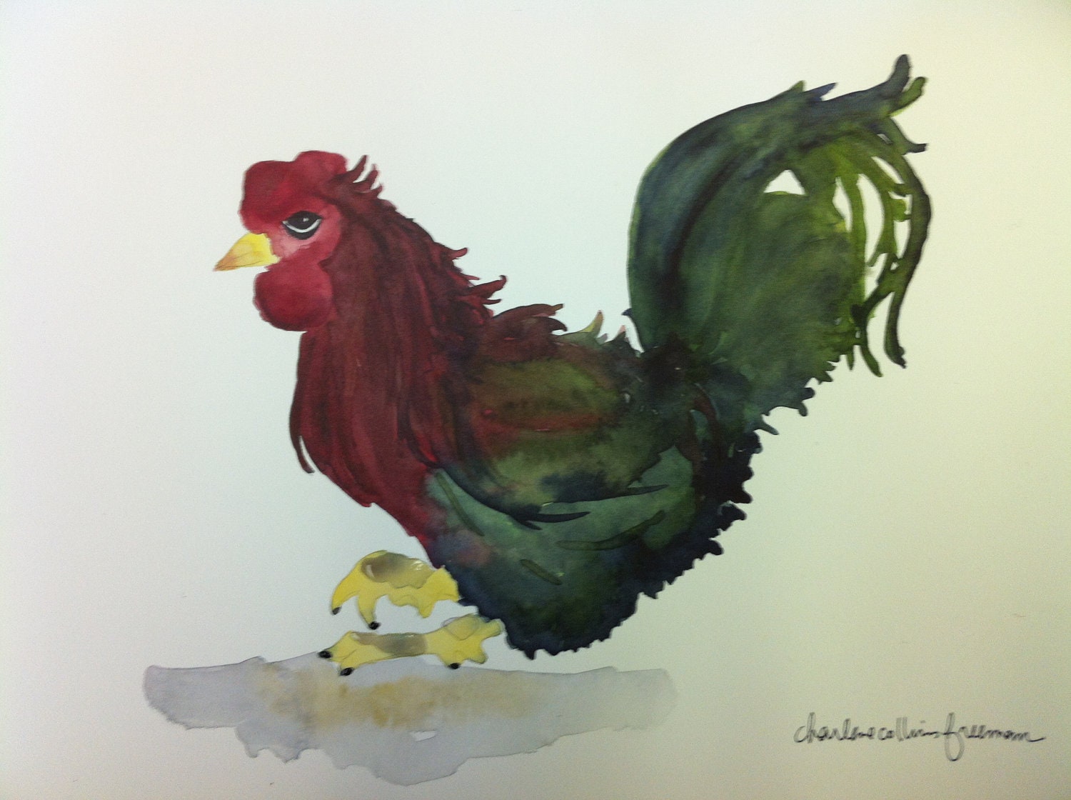 Rooster Chicken farm egg proud cocky hen coop red green Christmas metrosexual animal feather nature organic pet bird beak unamused