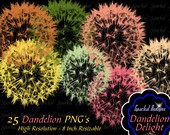 Photoshop Brush Dandelion Clip Art 25 Colors Floral Wedding Clipart Digital Scrapbooking Flourishes, Elements Il_170x135