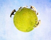 Animal photography, sheep photograph, landscape nature photo, white blue green planet, kids nursery art, animal wall art print, 8x8