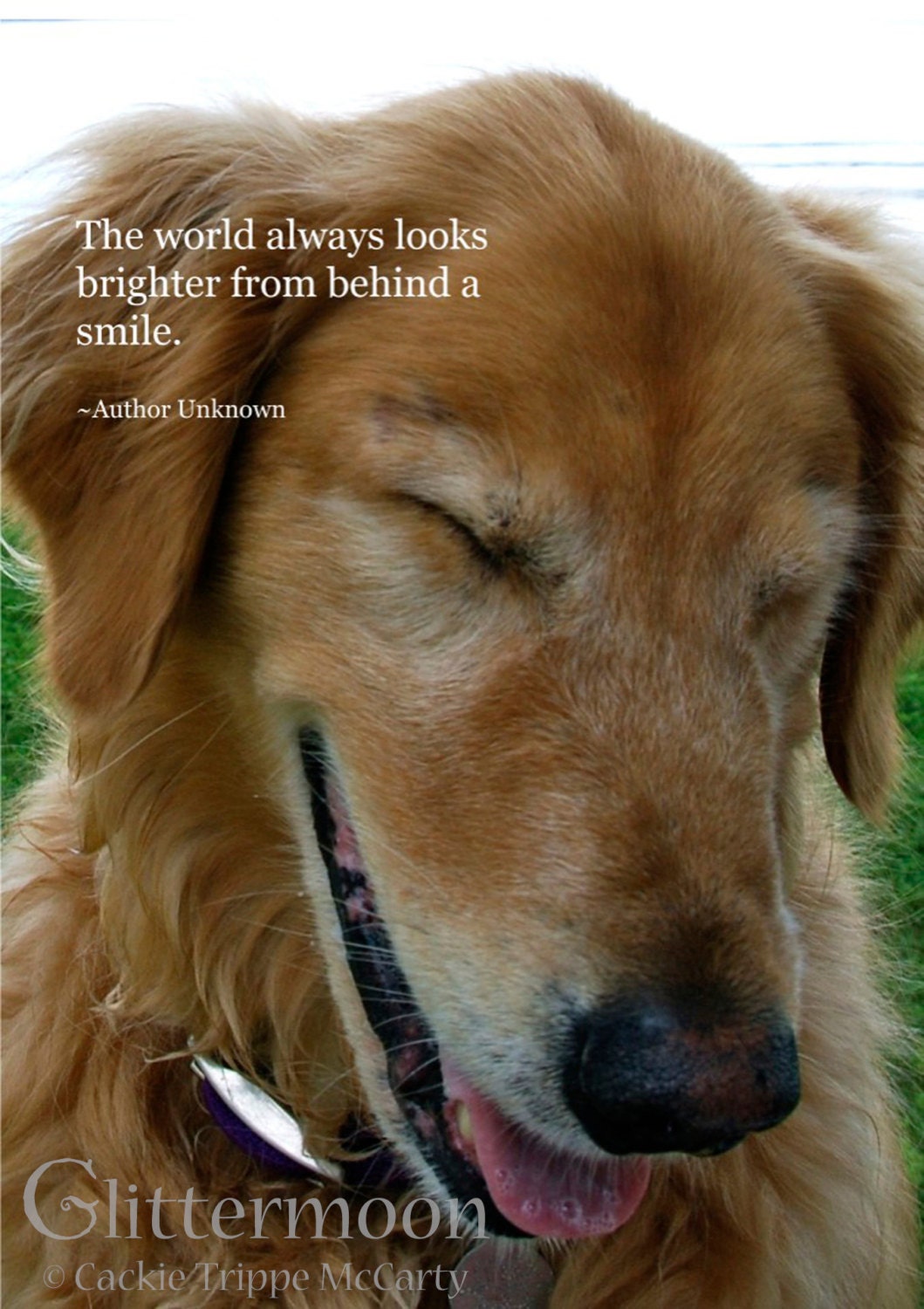 Smiling Dog Card