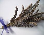 Dried English Lavender Flower Bunches for Decor & Scent