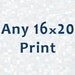 Any 16x20 Photograph