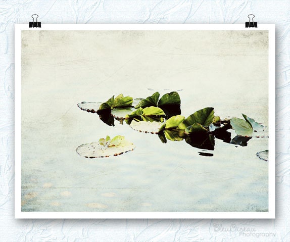 Pond photography, nursery wall decor, lily pads, 11x14 fine art print