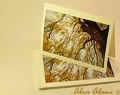 Nature Photography Spring Willow - set of five - blank inside
