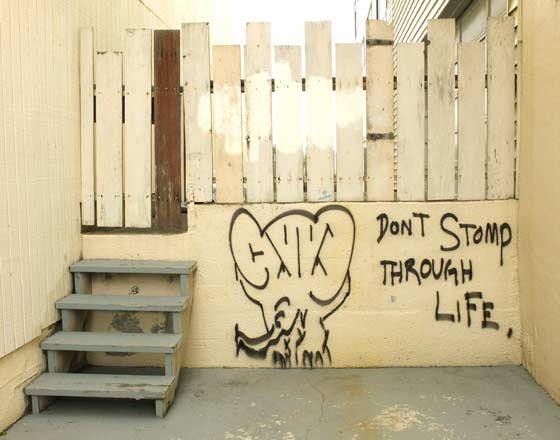 Inspirational Photo 5x7 - San Francisco Photography