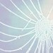 Fine art photography - Winter Web - purple,snow,ice,8x10