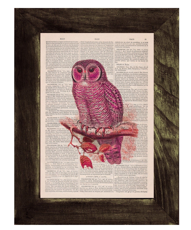 Nice Owl print on Vintage Dictionary Book altered art dictionary page illustration book print  art