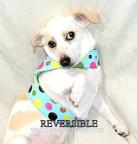 Dachshund dog vest harness pets clothing adjustable reversible blue polka dot brown calico handmade