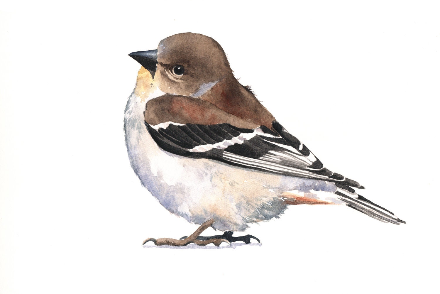 Goldfinch Bird painting -G044- wildlife art nature -  print of watercolor painting -5 by 7 print