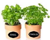 Organizing Vinyl Chalkboard Labels - 2.5" x 1.75" - Bubble Frame Set of 36 Storage Organization Weddings Canning
