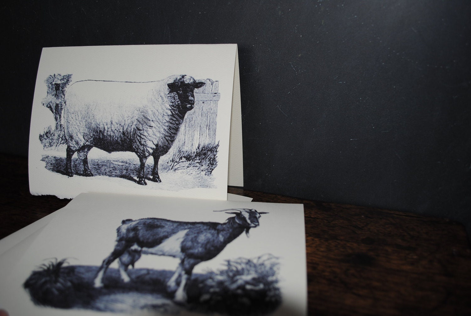 Sheep and Goats - Set of 6 - 5x7 Cards with Envelopes - Vintage Farm Animal Graphics